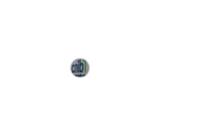 Figure 1.1.1.2: View of a building with loss of peripheral vision.