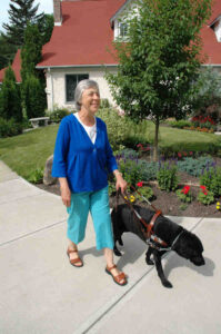 Dame aveugle se promenant avec son chien-guide (Labrador noir) sur le trottoir d'une rue résidentielle.